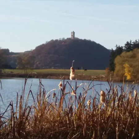 Reuter شقة Niederzissen